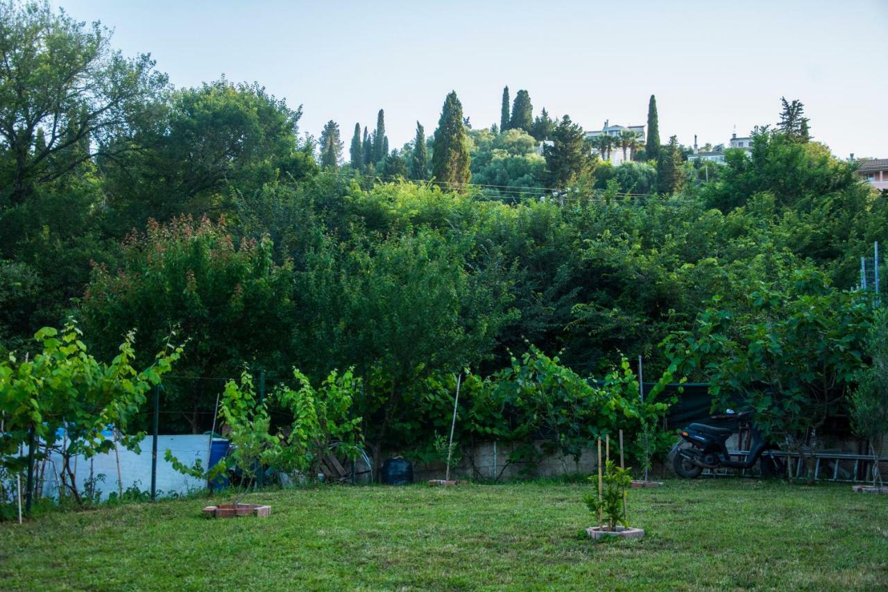 Lazaros Apartments Γουβιά Εξωτερικό φωτογραφία